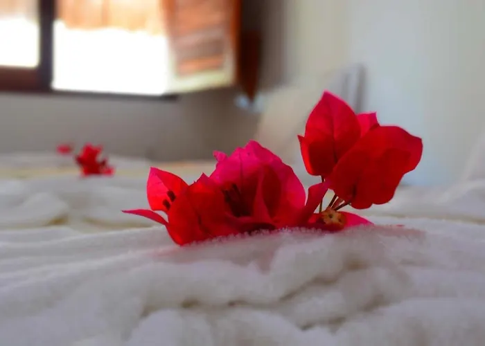 Vila Moana Jeri Jijoca de Jericoacoara